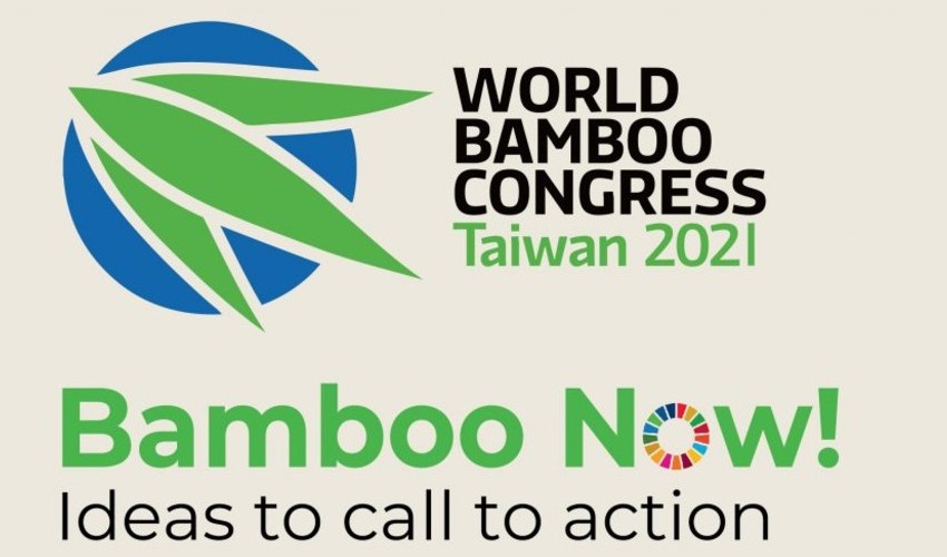 world bamboo day 2020
